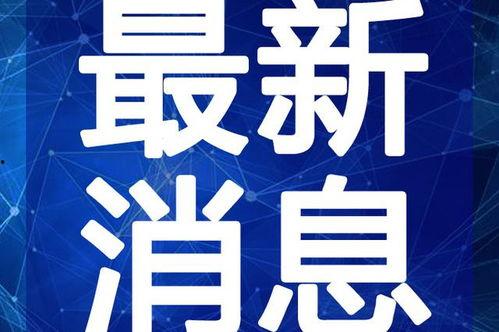 四哥哈尔滨爆料视频最新,四哥视频揭秘城市新动态  第1张